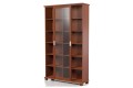 Biblioteczka EMDEN E17