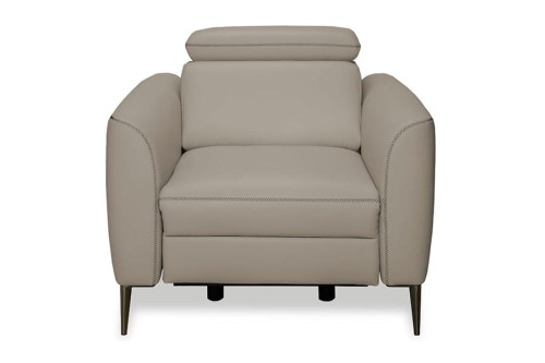 Fotel DIANTHUS 1N2 ( skóra naturalna ) - bryła, front