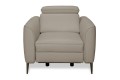 Fotel DIANTHUS 1RPe2 ( z funkcją relaks sterowany elektrycznie - skóra naturalna ) - bryła, front