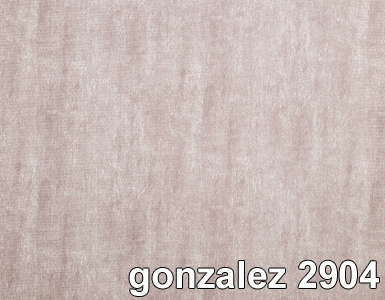 GONZALE Z2904