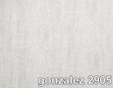 GONZALEZ 2905