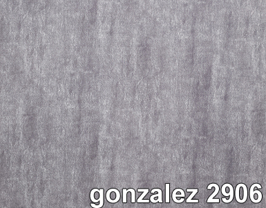 GONZALEZ 2906