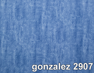 GONZALEZ 2907