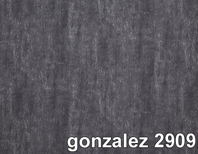 GONZALEZ 2909