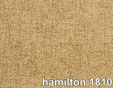 HAMILTON 2810