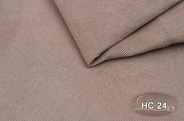HC 24