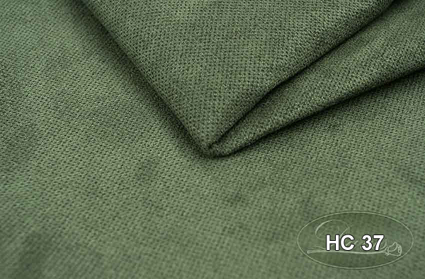 HC 37