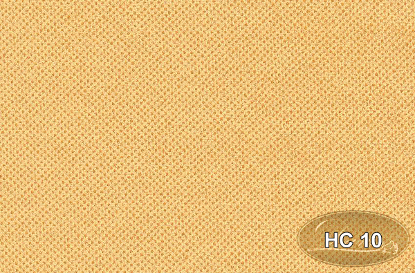 HC 10