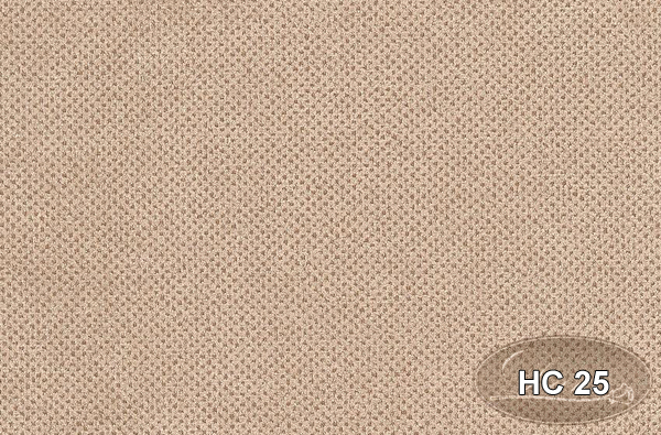 HC 25