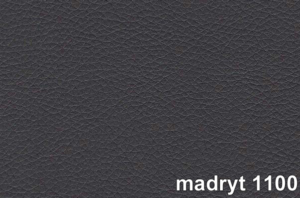 MADRYT 1100