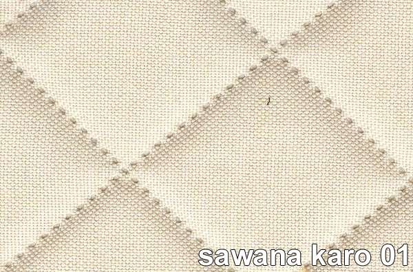 SAWANA KARO 01