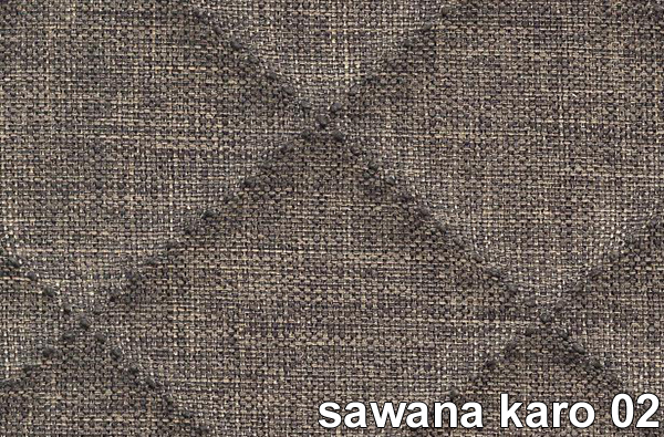 SAWANA KARO 02