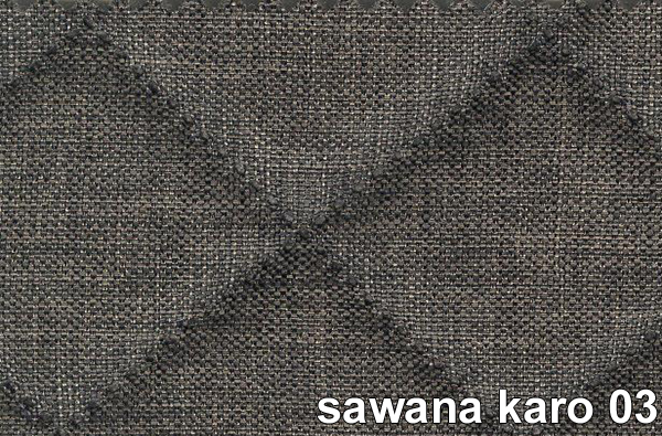 SAWANA KARO 03