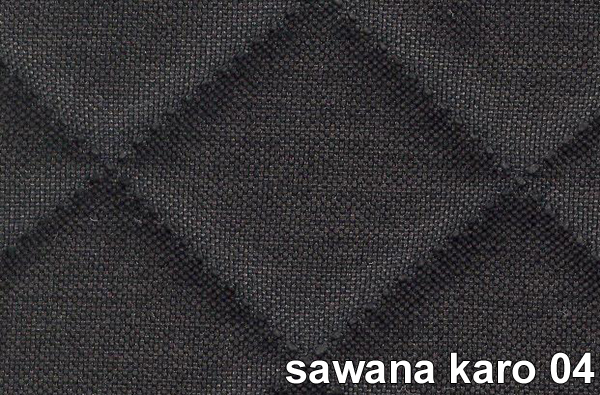 SAWANA KARO 04