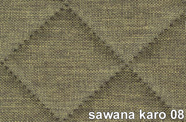 SAWANA KARO 08
