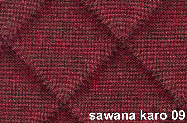 SAWANA KARO 09