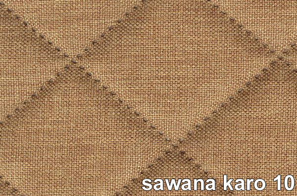 SAWANA KARO 10