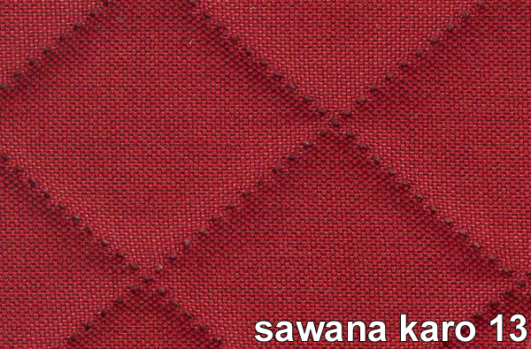 SAWANA KARO 13