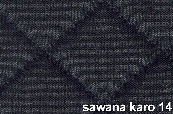 SAWANA KARO 14