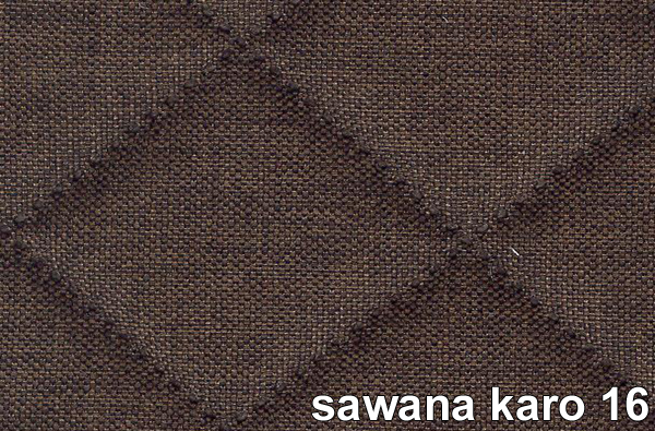SAWANA KARO 16