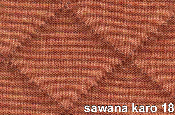 SAWANA KARO 18