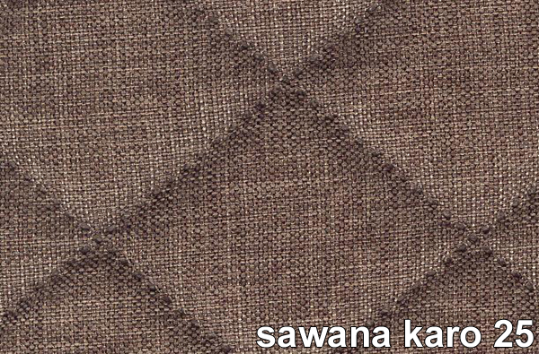 SAWANA KARO 25