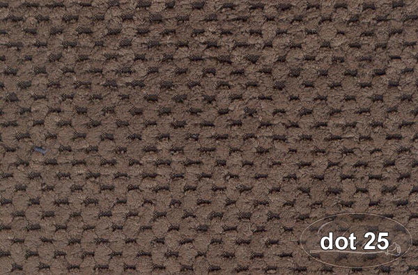 DOT 25 DOT 25