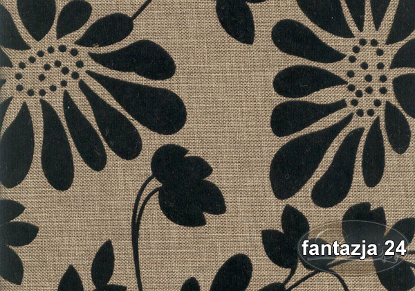 FANTAZJA 24